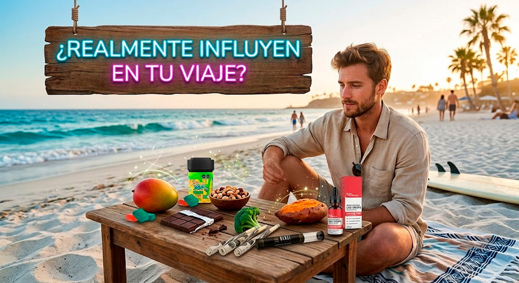 Alimentos que podrían acompañar y mejorar tu viaje