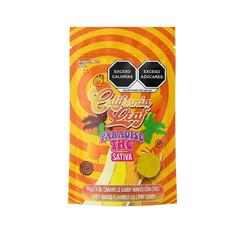 PALETA DE CARAMELO SABOR MANGO CON CHILE 10MG-1