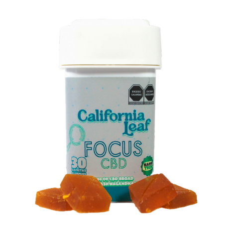 Gomitas Focus CBD (Betacariofileno – 10 mg CBD Nano Broad) |15 ó 30 piezas.